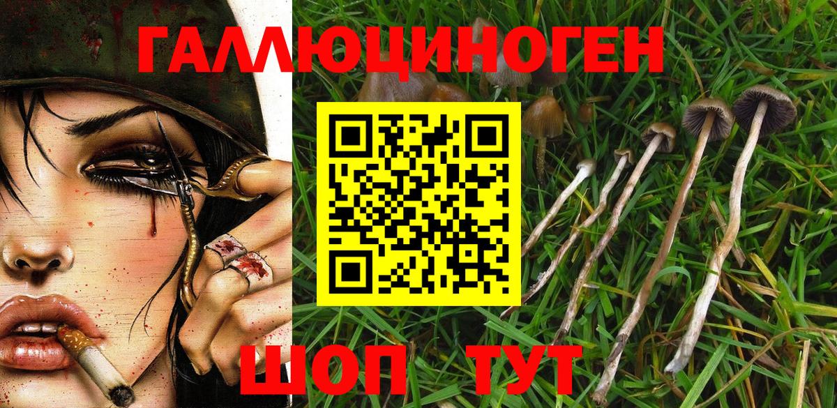 Псилоцибиновые грибы MAGIC MUSHROOMS Ярославль