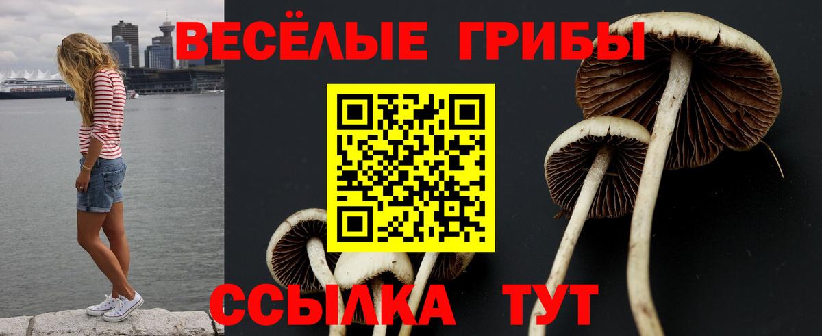Ярославль  цены наркотик  Вход с VPN  Псилоцибиновые грибы ЛСД 